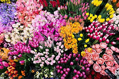 拳头游戏《Project L》新开发者日志“游戏机制”